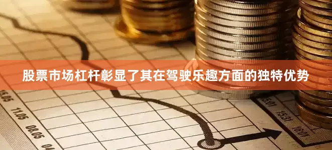 股票市场杠杆彰显了其在驾驶乐趣方面的独特优势