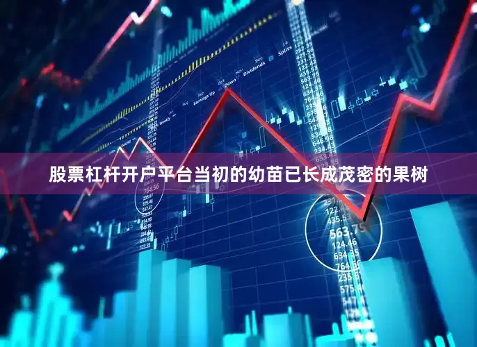 股票杠杆开户平台当初的幼苗已长成茂密的果树